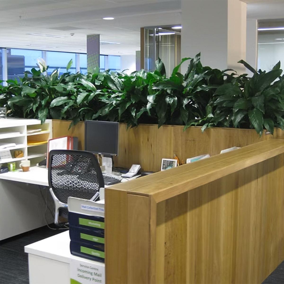desk surrounded by plants